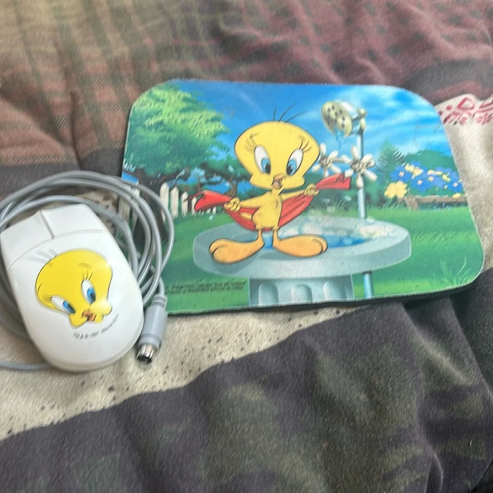 Tweety mouse/mouse pad set.